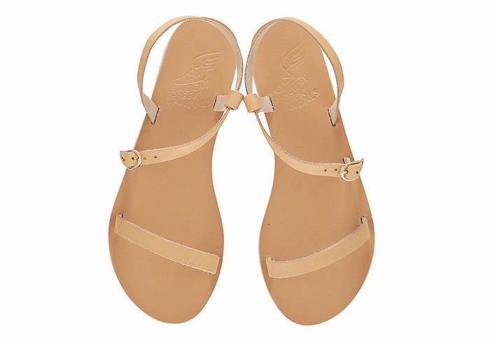 Ancient Greek Sandals Niove Leather Achterband Sandalen Dames Beige | SPH1592LO