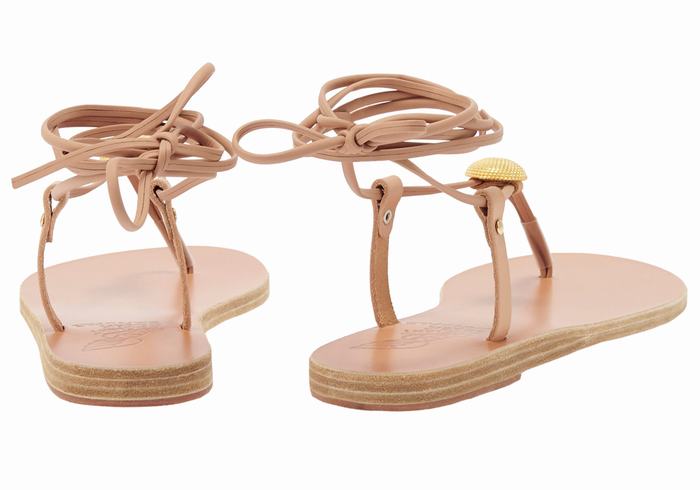 Ancient Greek Sandals Persephone Gladiator Sandalen Dames Beige | DCU7258WU