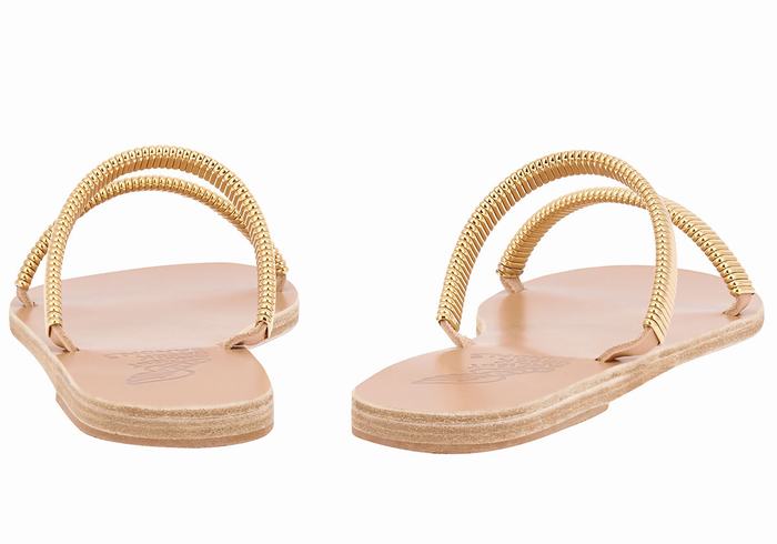 Ancient Greek Sandals Saita Schuifsandalen Dames Goud Beige | HXD7329BO