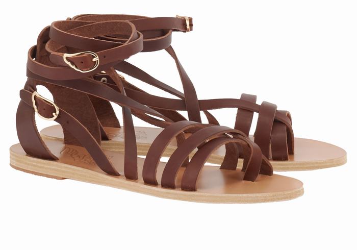 Ancient Greek Sandals Satira Leather Gladiator Sandalen Dames Koffie | UWH4765ZR