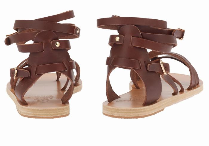 Ancient Greek Sandals Satira Leather Gladiator Sandalen Dames Koffie | UWH4765ZR