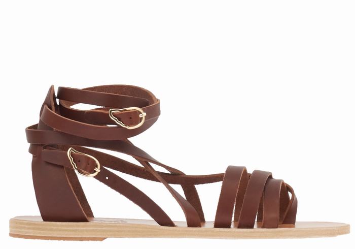 Ancient Greek Sandals Satira Leather Gladiator Sandalen Dames Koffie | UWH4765ZR