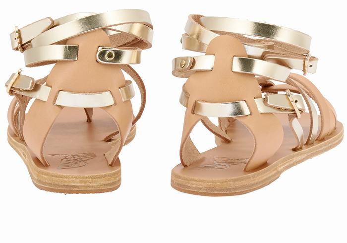 Ancient Greek Sandals Satira Leather Gladiator Sandalen Dames Beige Goud Wit | SWX3196YS