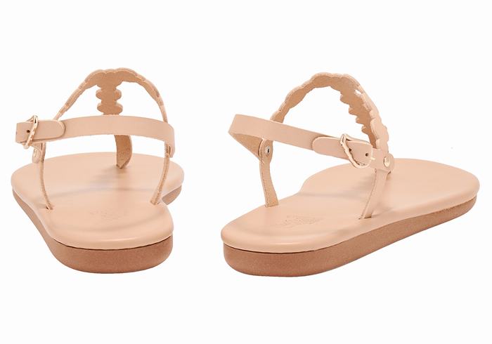 Ancient Greek Sandals Velos Flip Flop Achterband Sandalen Dames Beige | EXL4280AL