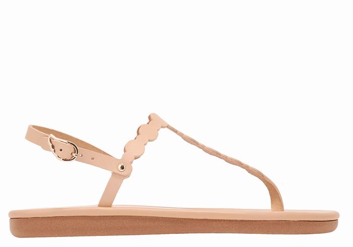 Ancient Greek Sandals Velos Flip Flop Achterband Sandalen Dames Beige | EXL4280AL