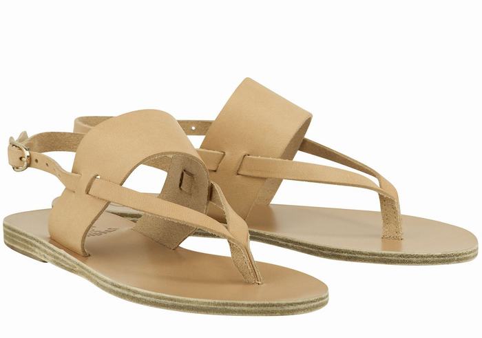 Ancient Greek Sandals Zoe Flip Flop Leather Achterband Sandalen Dames Beige | QUD6666JR