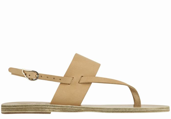 Ancient Greek Sandals Zoe Flip Flop Leather Achterband Sandalen Dames Beige | QUD6666JR